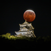 Eclipse Night...