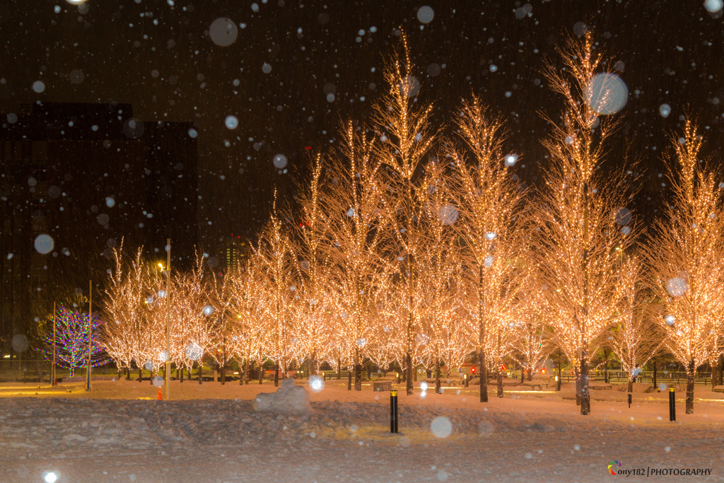 Snow Iluminado...