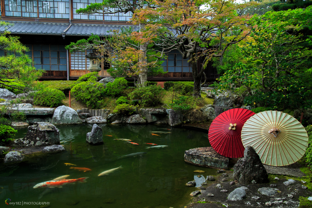 初秋～延算寺×岐阜和傘～