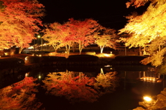 秋彩～曽木の夜Ⅳ～