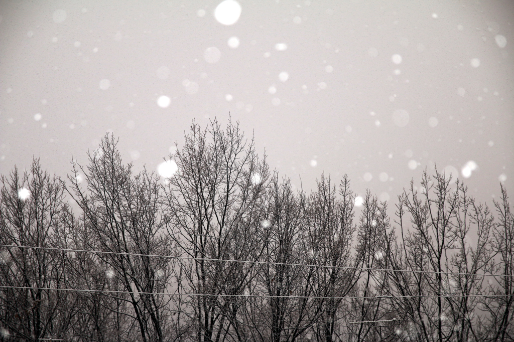 雪の窓辺で