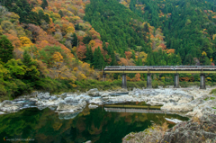 高山本線紅葉景色...Ⅱ