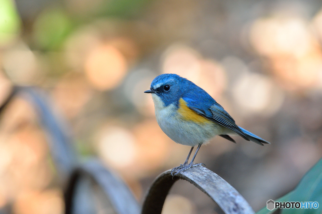 冬の日差しを浴びて