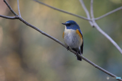 ゆるやかな時間