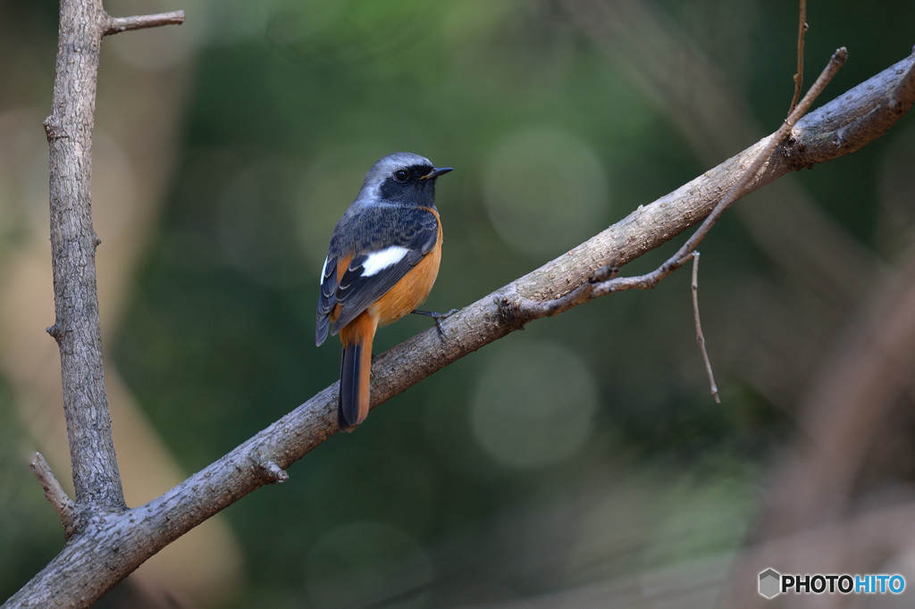 ゆるやかな時間