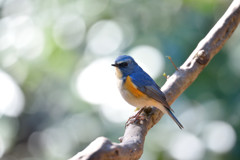 早春の光を浴びて