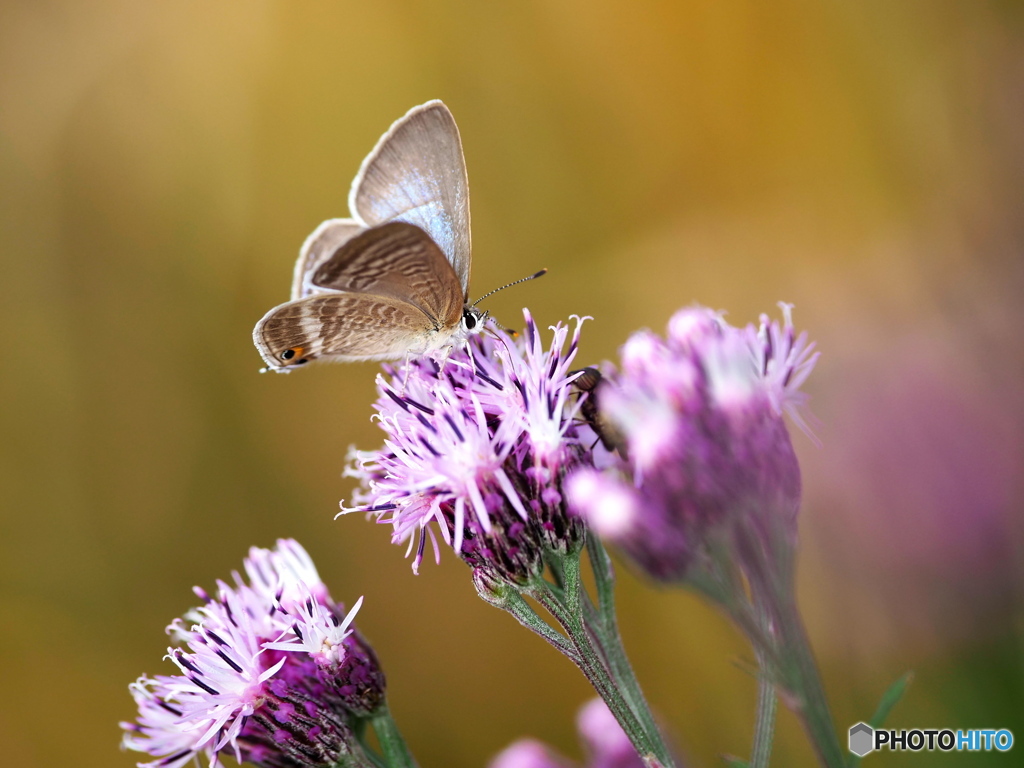 小春日和の一日