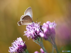 小春日和の一日