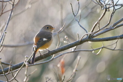 柔らかな日差しを浴びて