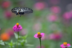 take off