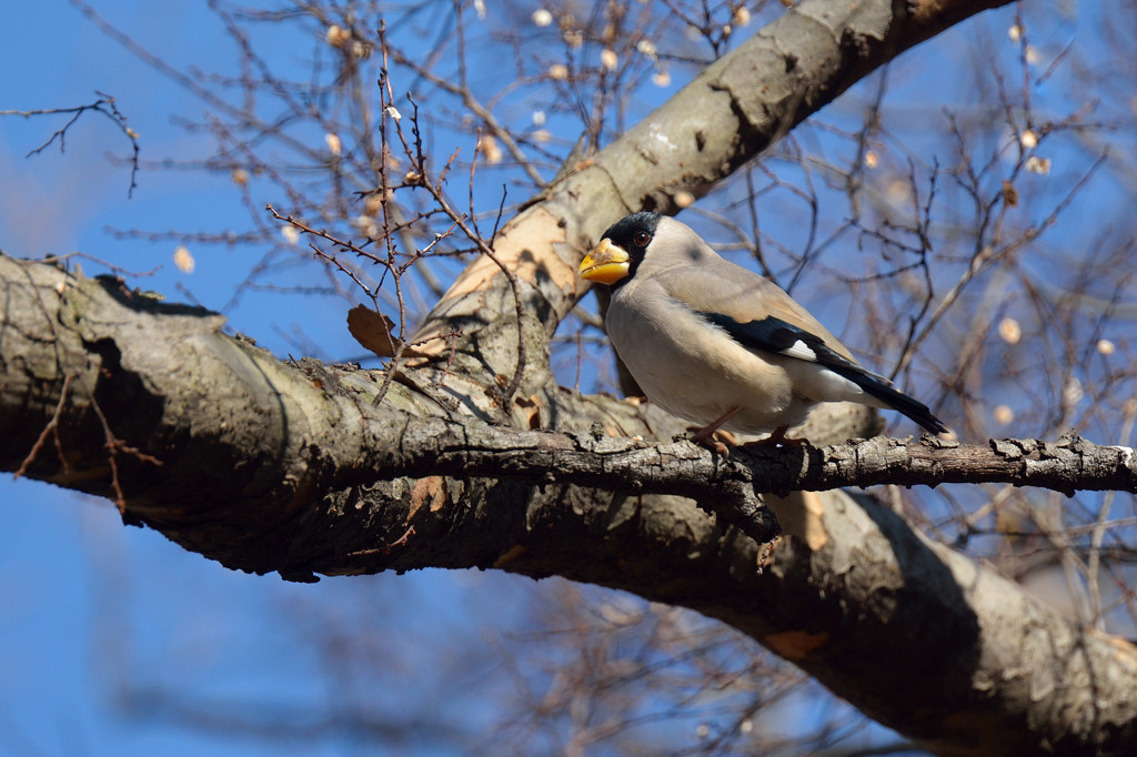 青空をバックに