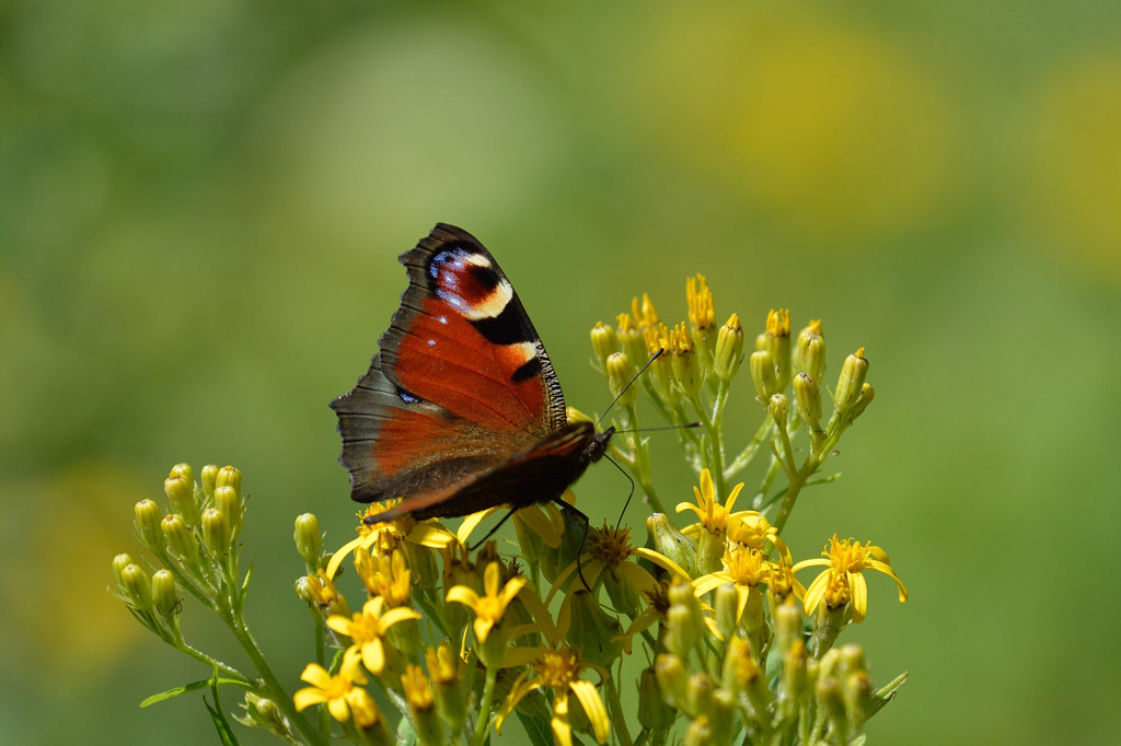 ゆるやかな時間