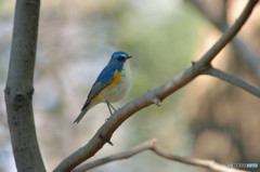 陽だまりの中で