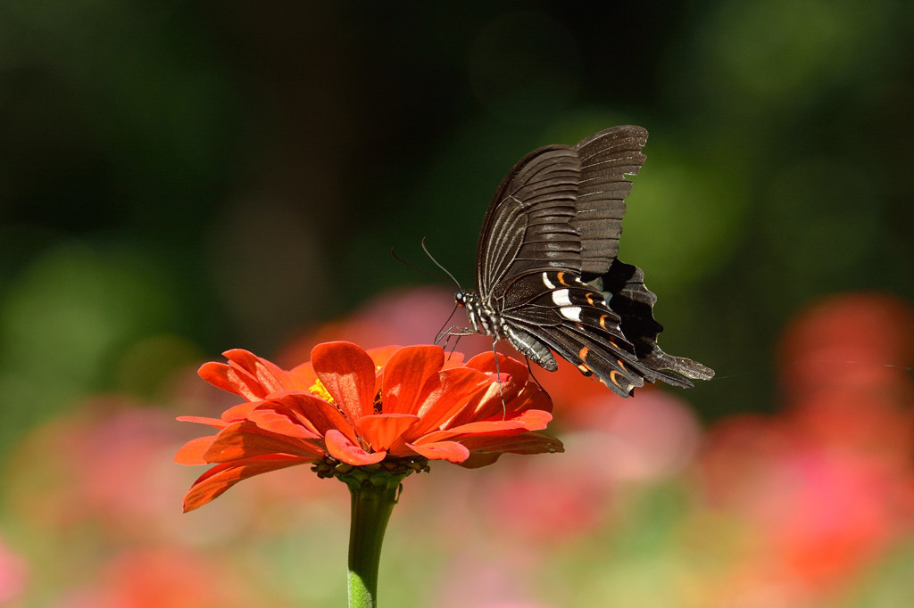 優しさに包まれて