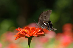 優しさに包まれて