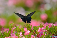 take off