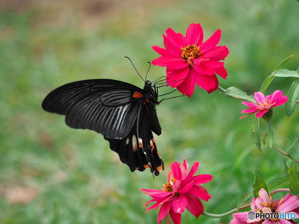 ゆるやかな時間