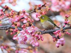 春の気配