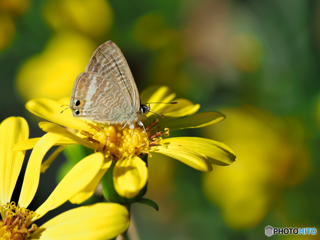 小春日和の一日