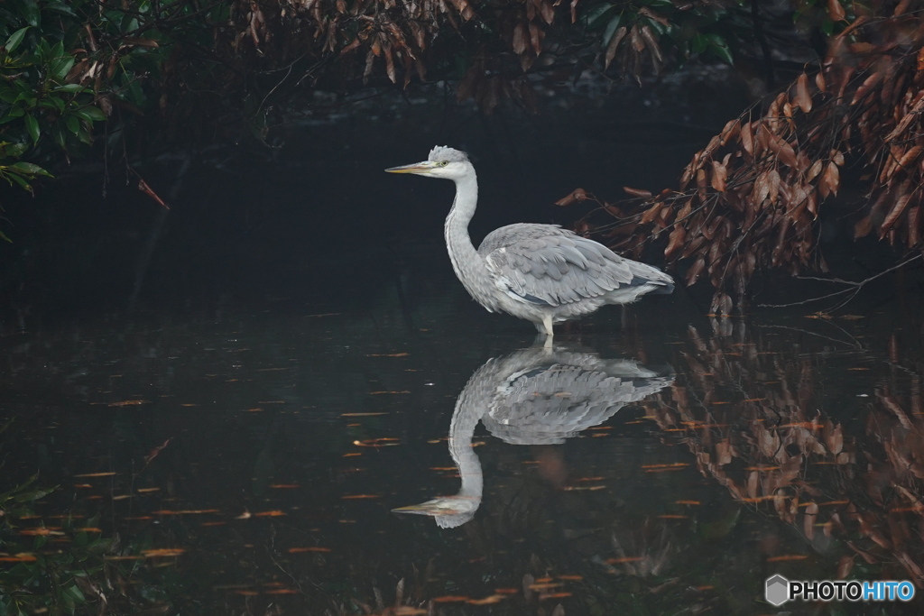 静かなひととき
