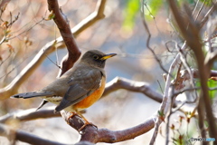 陽だまりの中で