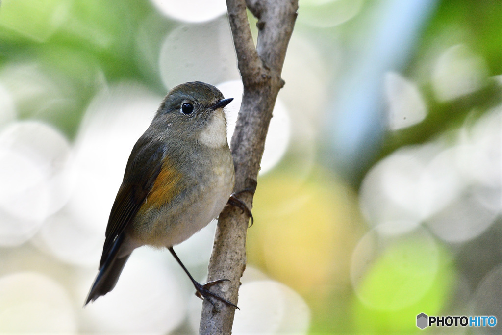 木漏れ日の中で