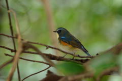 ゆるやかな時間