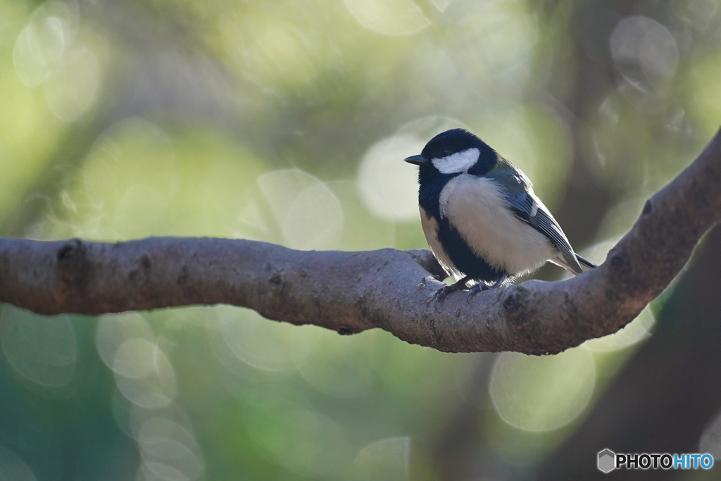 節分の穏やかな日