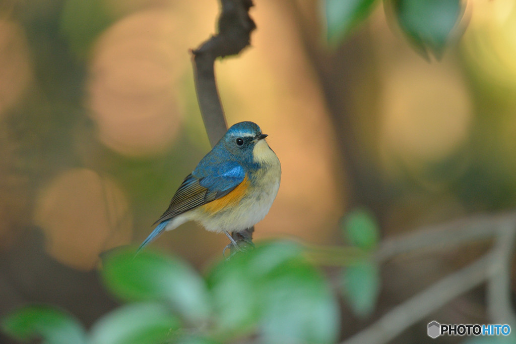 ゆるやかな時間