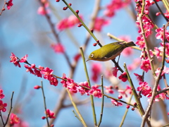 春の気配
