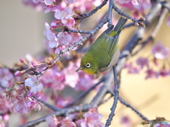 春の予感