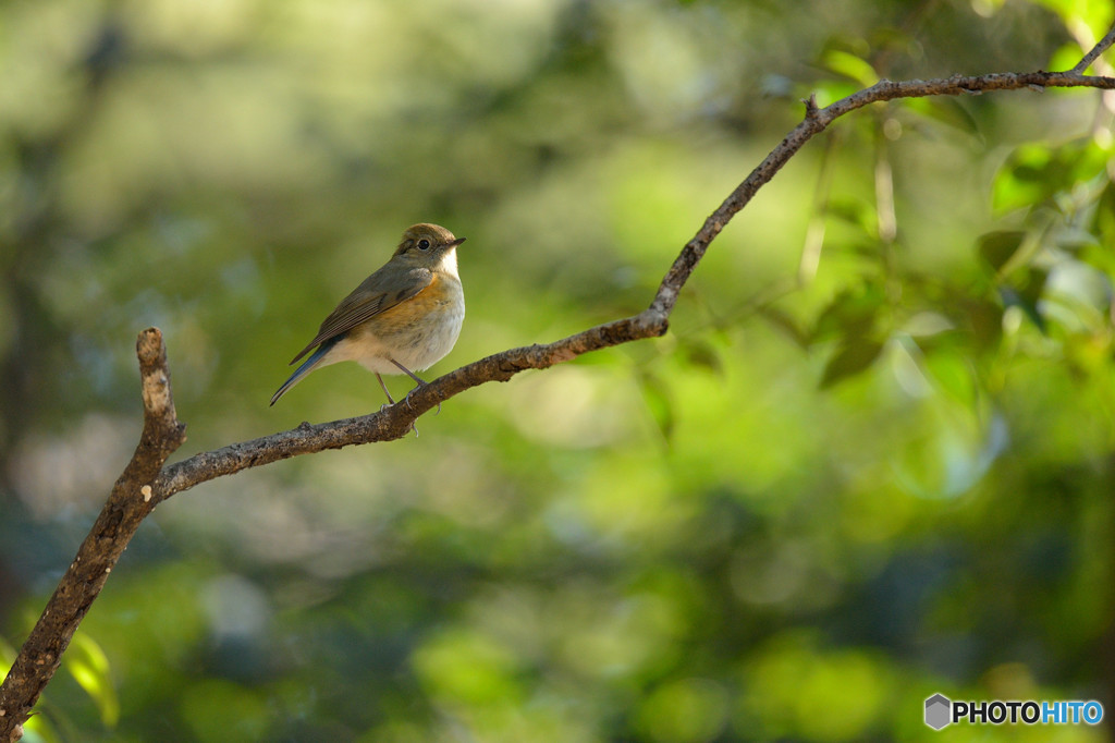 冬の日差しの中で