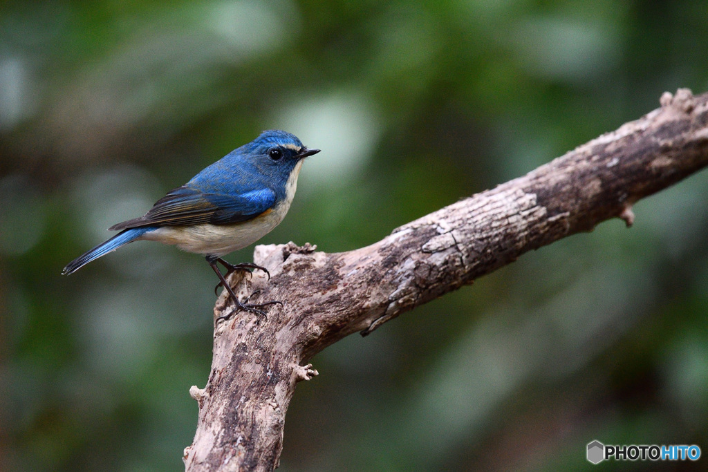 ゆるやかな時間