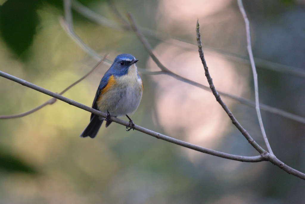 陽だまりの中で