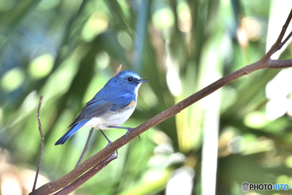 冬の日差しを浴びて