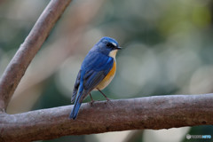 木漏れ日の中で