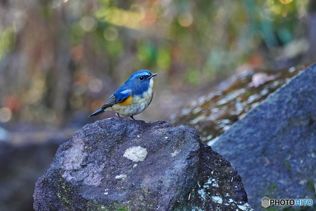 ゆるやかな時間