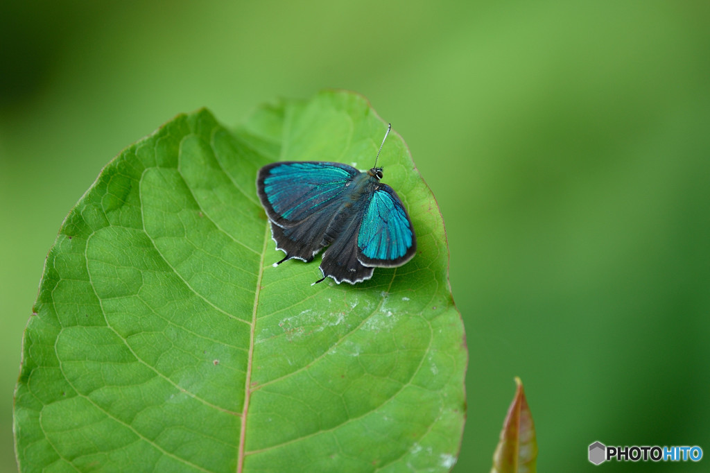 木漏れ日の中で