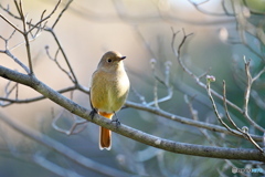 冬の日差しを浴びて