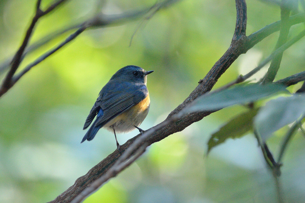 陽だまりの中で