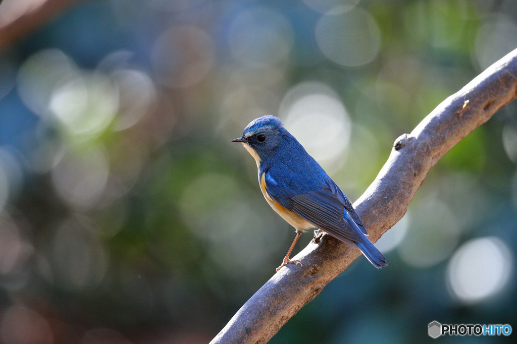 陽だまりの中で