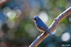 陽だまりの中で