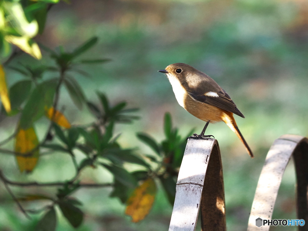小春日和の一日