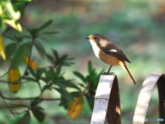 小春日和の一日