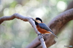 立春の穏やかな日