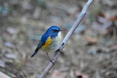 ゆるやかな時間