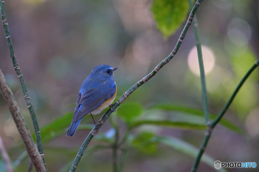 ゆるやかな時間