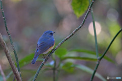 ゆるやかな時間