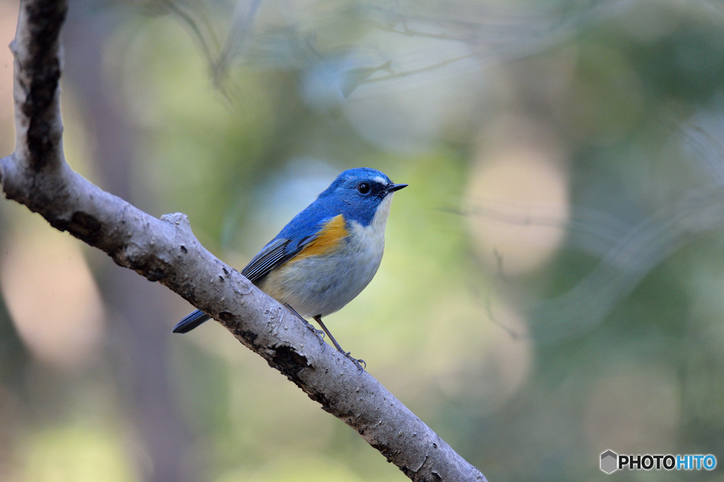 ゆるやかな時間