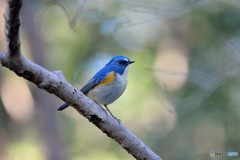 ゆるやかな時間